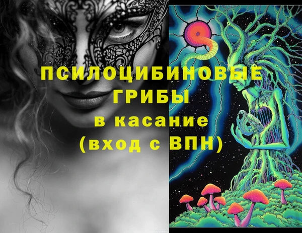 apvp Абинск